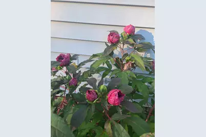 23 Robin Court, Skowhegan, ME 04976 - Photo 71