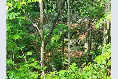 0 Wild Haven Road, Sweden, ME 04009 - Photo 5