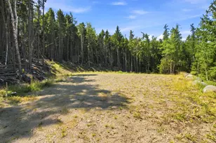 37 Corn Hill Rd, Machiasport, ME 04655 - Photo 1