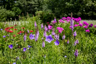 473 Sandy River Road, Starks, ME 04911 - Photo 61