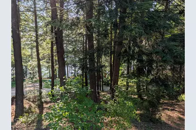 125 Mace Road, Litchfield, ME 04350 - Photo 41