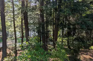 125 Mace Rd, Litchfield, ME 04350 - Photo 41