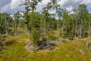 227 South St, Blue Hill, ME 04614 - Photo 57