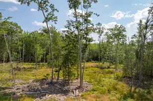 227 South St, Blue Hill, ME 04614 - Photo 55