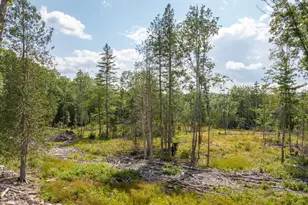 227 South St, Blue Hill, ME 04614 - Photo 53