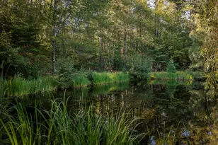 44 Eloise Dr, Westport, ME 04578 - Photo 43