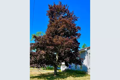 344 Main Street, Ellsworth, ME 04605 - Photo 47