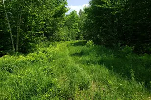39 Mountain Vw Ln, Dover Foxcroft, ME 04426 - Photo 73