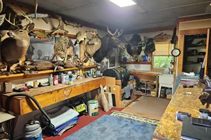 39 Mountain Vw Ln, Dover Foxcroft, ME 04426 - Photo 37