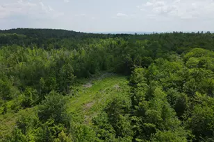 39 Mountain Vw Ln, Dover Foxcroft, ME 04426 - Photo 83