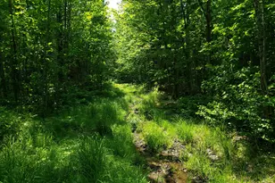 39 Mountain Vw Ln, Dover Foxcroft, ME 04426 - Photo 71