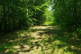 39 Mountain Vw Ln, Dover Foxcroft, ME 04426 - Photo 75