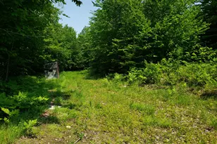 39 Mountain Vw Ln, Dover Foxcroft, ME 04426 - Photo 77