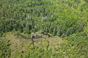 39 Mountain Vw Ln, Dover Foxcroft, ME 04426 - Photo 85