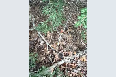 M6L18-13 N Palermo Road, Freedom, ME 04941 - Photo 7