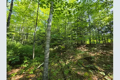 M2 L45-04 Lowell Road, Enfield, ME 04493 - Photo 7