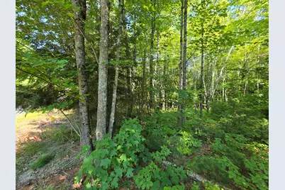 M2 L45-04 Lowell Road, Enfield, ME 04493 - Photo 3