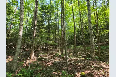 M2 L45-04 Lowell Road, Enfield, ME 04493 - Photo 11