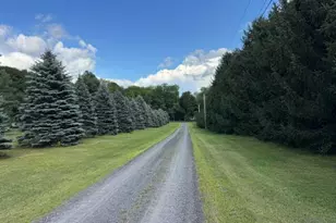 481 Bean Rd, Mount Vernon, ME 04352 - Photo 5