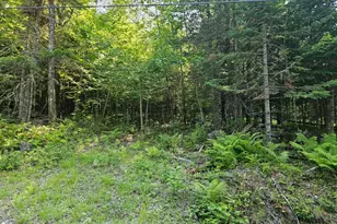 Lot 2-C Rips Rd, Brownville, ME 04414 - Photo 1