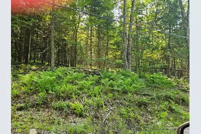 Lot 2-C Rips Road, Brownville, ME 04414 - Photo 3