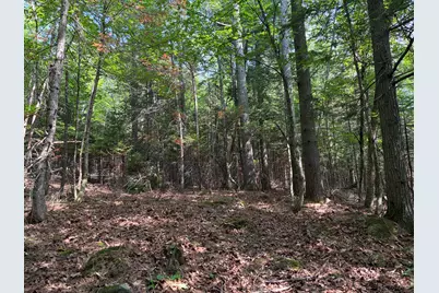 Lot 6 Holley Road, Farmington, ME 04938 - Photo 5