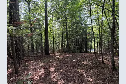 Lot 6 Holley Road, Farmington, ME 04938 - Photo 7