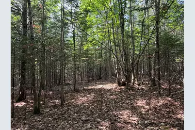 Lot 6 Holley Road, Farmington, ME 04938 - Photo 9