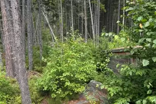 1277 Troutdale Rd, Bald Mountain Twp T2 R3, ME 04985 - Photo 27