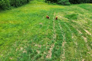 181 Bassett Rd, Winslow, ME 04901 - Photo 55