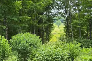 219 Barrett Hill Rd, Union, ME 04862 - Photo 57