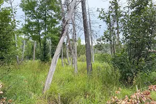 684 Lower Detroit Rd, Plymouth, ME 04969 - Photo 5