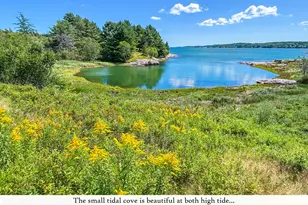 195 Ficketts Point Rd, Milbridge, ME 04658 - Photo 11