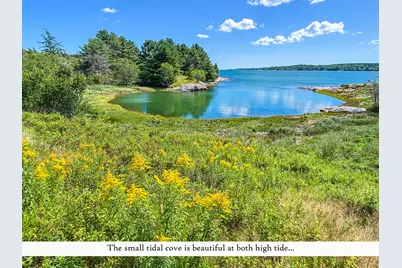 195A Ficketts Point Road, Milbridge, ME 04658 - Photo 11