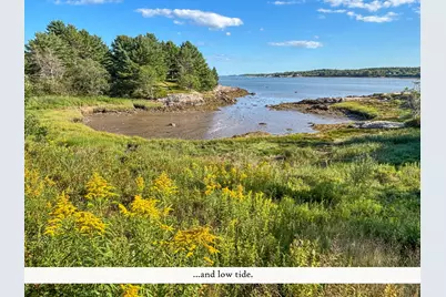 195 Ficketts Point Road, Milbridge, ME 04658 - Photo 11