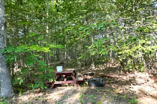 29 Spaulding Ln, Lee, ME 04455 - Photo 1
