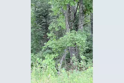 00 Walker Road, Lamoine, ME 04605 - Photo 3
