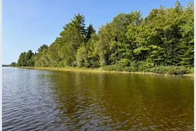 Lot 35 Woodland Ridge Road, Danforth, ME 04424 - Photo 3