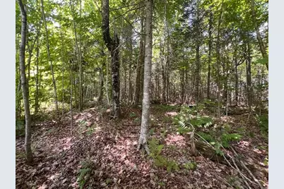 Lot 35 Woodland Ridge Road, Danforth, ME 04424 - Photo 11