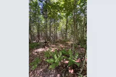 Lot 35 Woodland Ridge Road, Danforth, ME 04424 - Photo 13