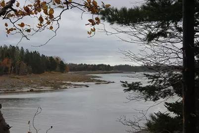 Lot #5 Hardy Point Road, Pembroke, ME 04666 - Photo 7