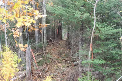 Lot #5 Hardy Point Road, Pembroke, ME 04666 - Photo 11