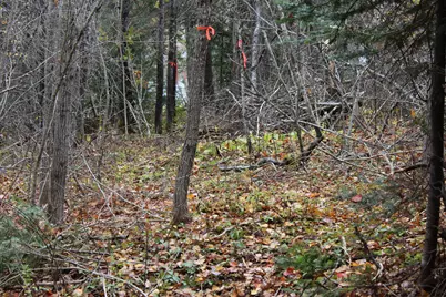 Lot #5 Hardy Point Road, Pembroke, ME 04666 - Photo 19