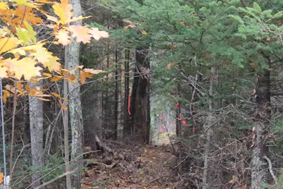 Lot #5 Hardy Point Road, Pembroke, ME 04666 - Photo 13