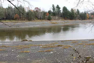 Lot #5 Hardy Point Road, Pembroke, ME 04666 - Photo 9
