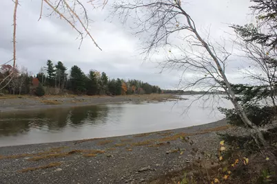 Lot #5 Hardy Point Road, Pembroke, ME 04666 - Photo 3
