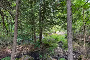 709 Main St, Springfield, ME 04487 - Photo 25