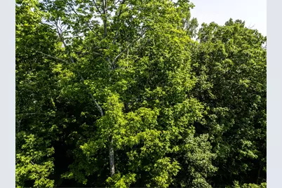 Lot 6 Waukeag Way, Belfast, ME 04915 - Photo 5