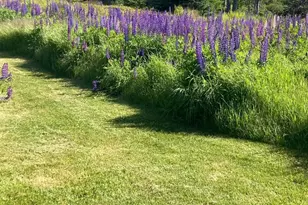 665 Corea Rd, Gouldsboro, ME 04624 - Photo 63