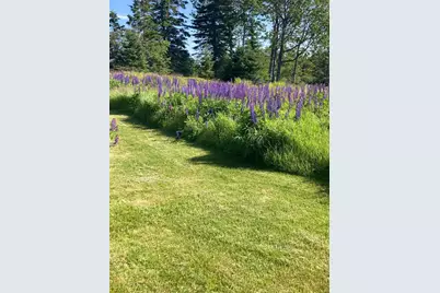 665 Corea Road, Gouldsboro, ME 04624 - Photo 43